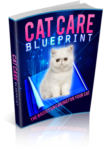 cat care blueprint