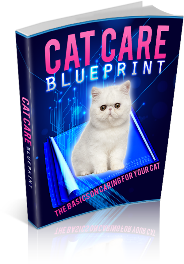 cat care blueprint